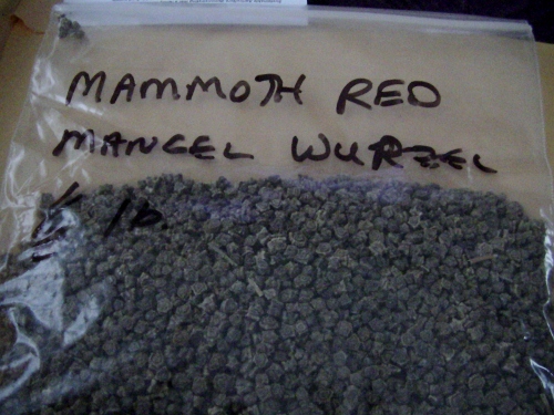 2012-12-24 2012-12-24 060 001 (500x375)