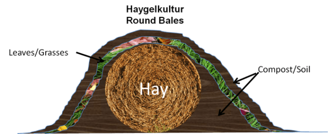 HaygelkulturRoundSmall