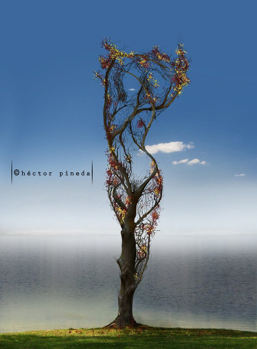 tumblr_l6z28kmrwE1qaa3epo1_500