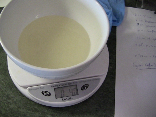 2012-12-24 018 (500x375)