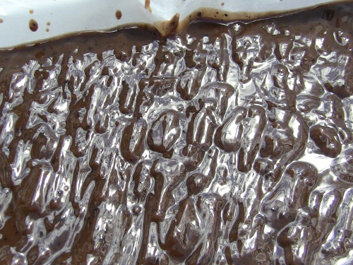 2012-12-24 024 (500x375)