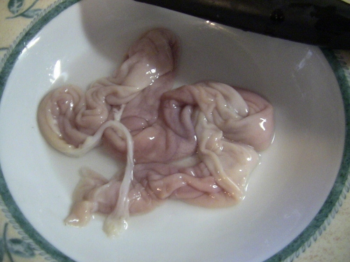 2012-12-24 056 (500x375)