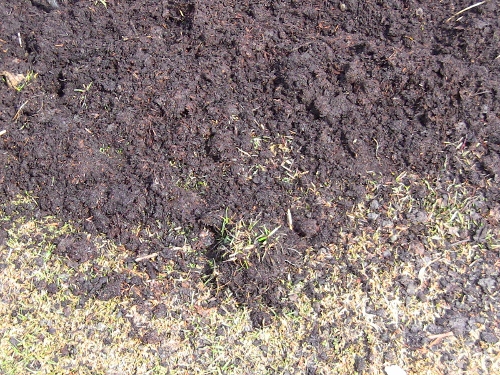 2012-12-24 2012-12-24 114 015 (500x375)