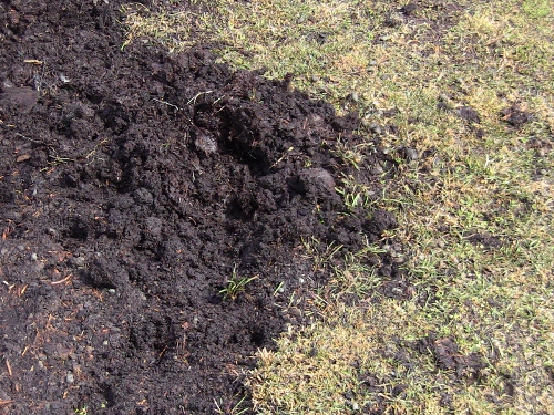 2012-12-24 2012-12-24 114 016 (500x375)