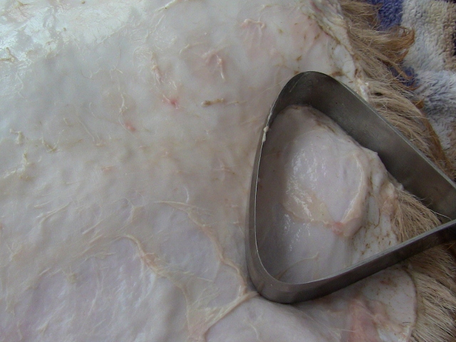 2012-12-24 2012-12-24 119 003 (640x480)