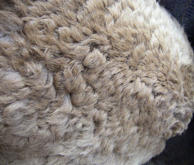 2012-12-24 2012-12-24 120 001 (640x543)