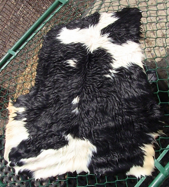 2012-12-24 2012-12-24 121 001 (640x577)