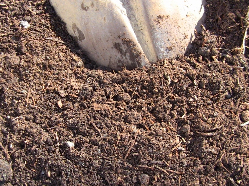 2012-12-24 2012-12-24 137 003 (500x375)