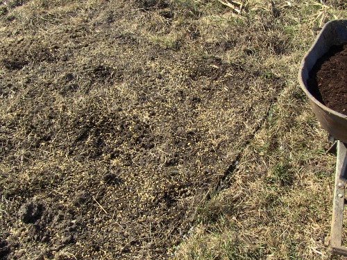 2012-12-24 2012-12-24 137 004 (500x375)