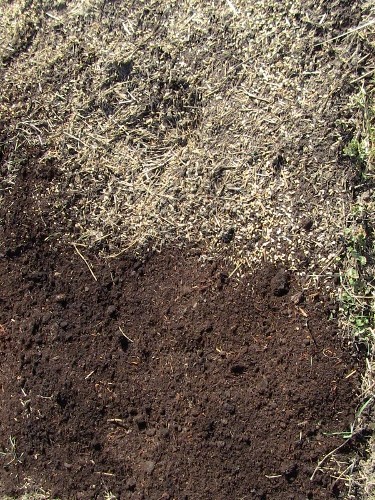 2012-12-24 2012-12-24 137 005 (500x375)