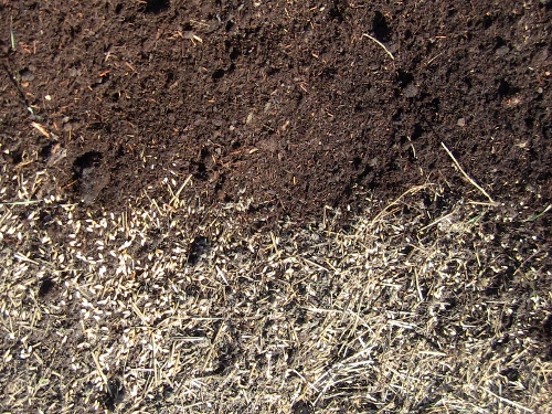 2012-12-24 2012-12-24 137 006 (500x375)