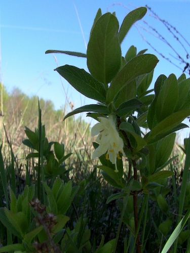 2012-12-24 095 (375x500)