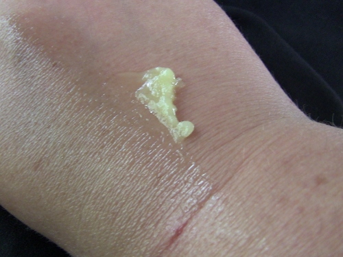 2012-12-24 170 (500x375)