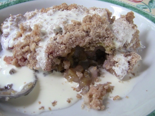 2012-12-24 234 (500x375)