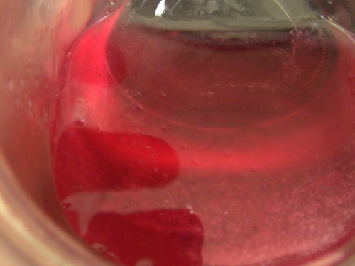 2012-12-24 246 (500x375)