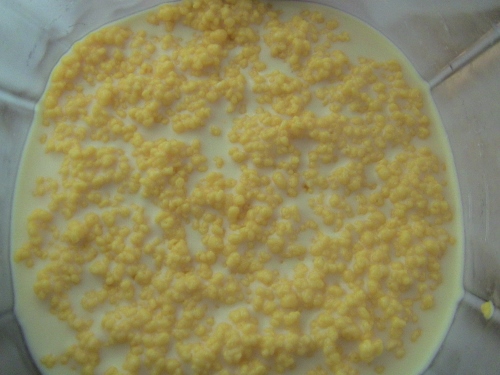 2012-12-24 248 (500x375)