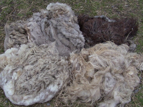 2012-12-24 273 (500x375)