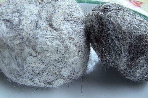 2012-12-24 278 (500x331)