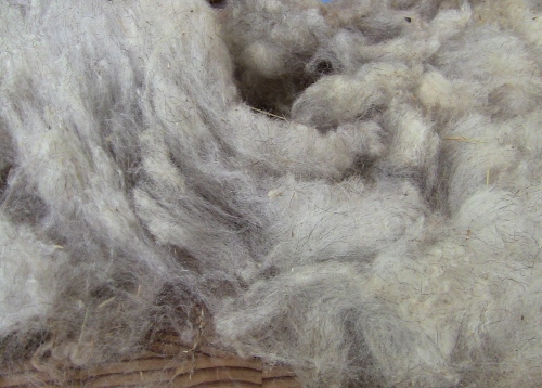 2012-12-24 280 (500x358)