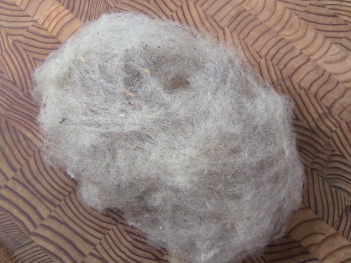 2012-12-24 282 (500x375)