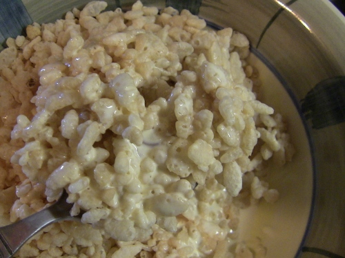 2012-12-24 302 (500x375)