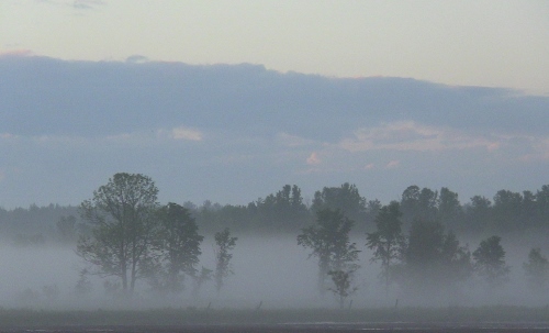 2012-12-24 328 (500x303)