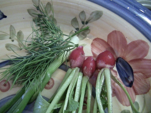 2012-12-24 330 (500x375)