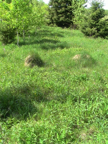 2012-12-24 217 (375x500)