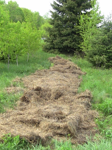 2012-12-24 224 (375x500)