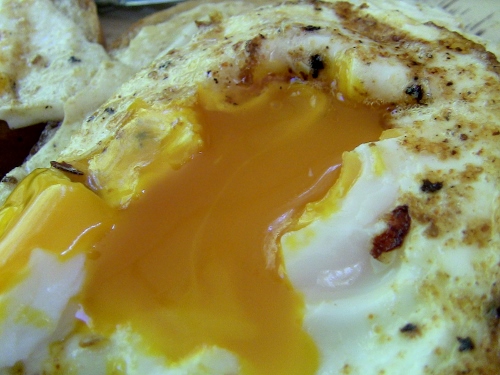 2012-12-24 298 (500x375)