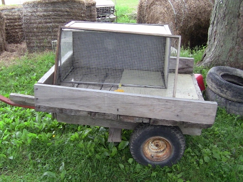 2012-12-24 338 (500x375)