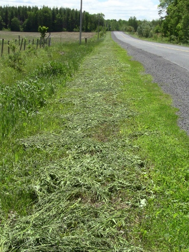 2012-12-24 369 (375x500)