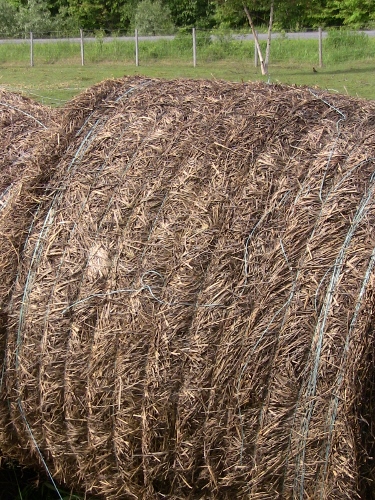 2012-12-24 421 (375x500)