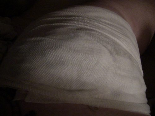 2012-12-24 477 (500x375)