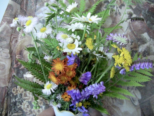 2012-12-24 481 (500x375)