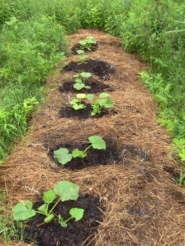 2012-12-24 490 (375x500)