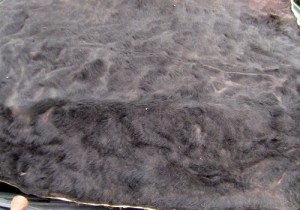 2012-12-24 529 (500x350)