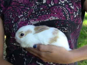 2012-12-24 549 (600x450)