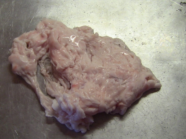 2012-12-24 570 (600x450)