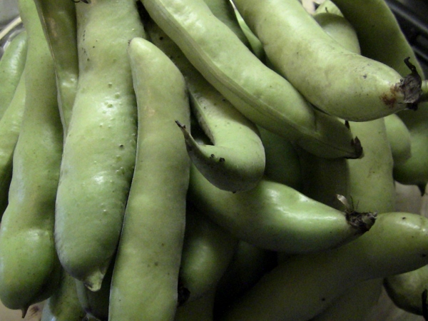 2012-12-24 584 (600x450)