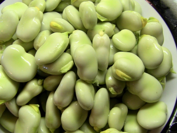 2012-12-24 586 (600x450)