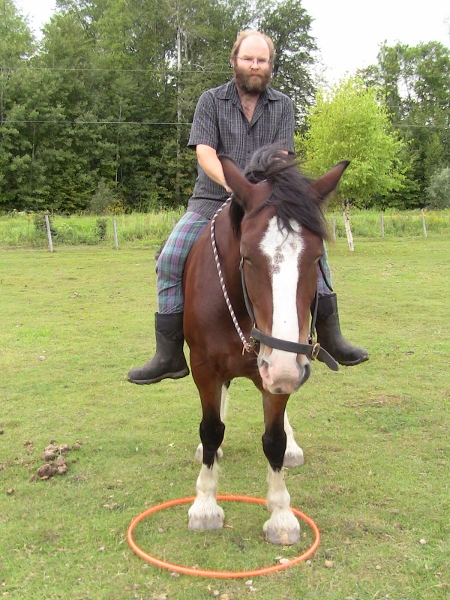 2012-12-24 758 (450x600)