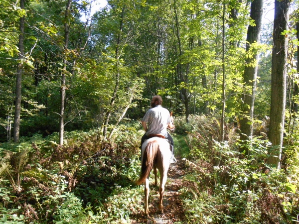 2013-01-01 081 (600x450)