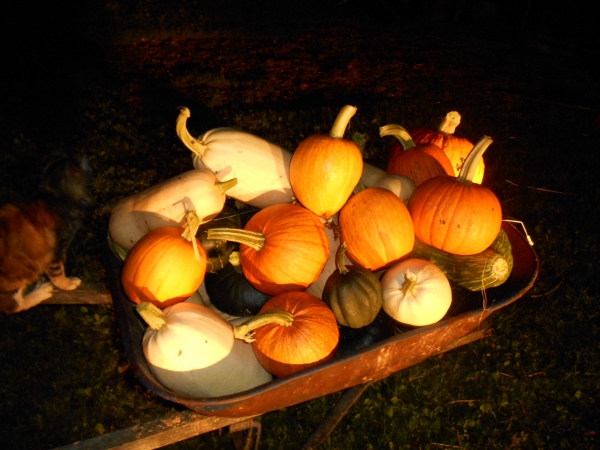 2013-01-01 173 (600x450)