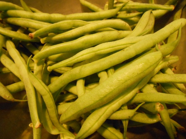 2013-01-01 379 (600x450)