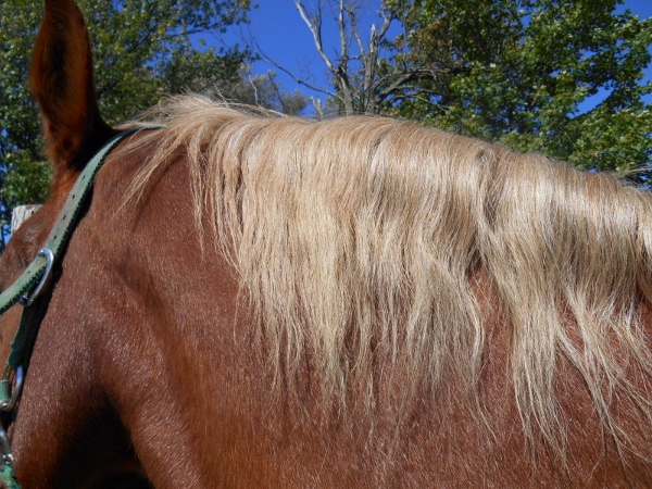 2013-01-01 401 (600x450)