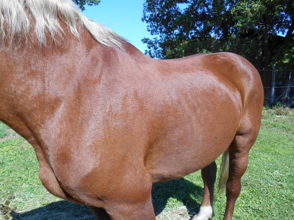 2013-01-01 402 (600x450)