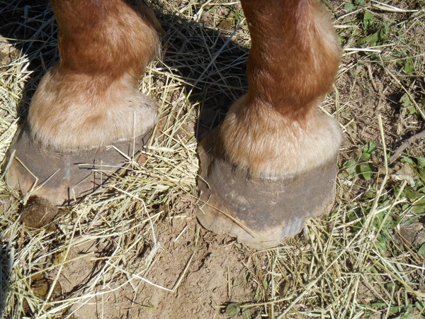 2013-01-01 404 (600x450)