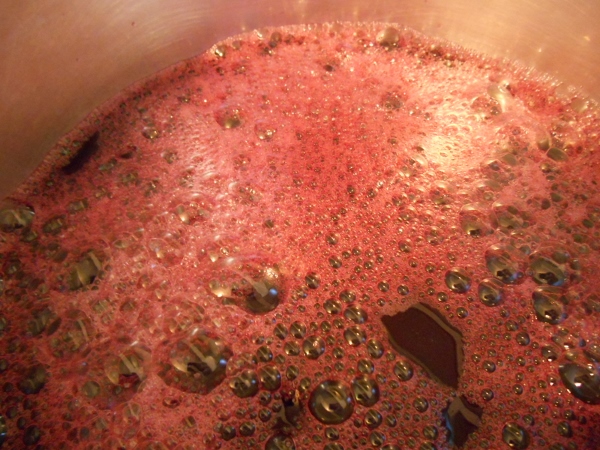 2013-01-01 410 (600x450)