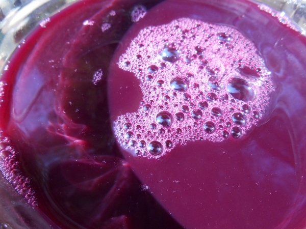 2013-01-01 411 (600x450)